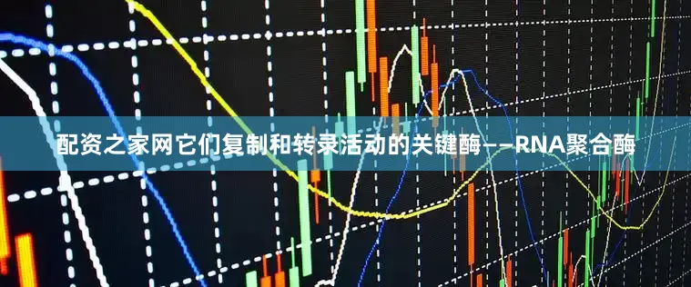 配资之家网它们复制和转录活动的关键酶——RNA聚合酶